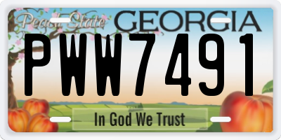 GA license plate PWW7491