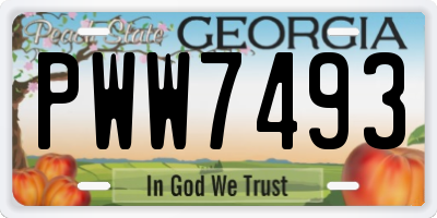 GA license plate PWW7493