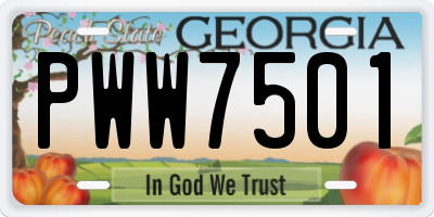 GA license plate PWW7501