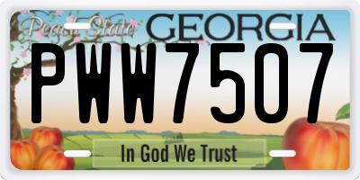 GA license plate PWW7507