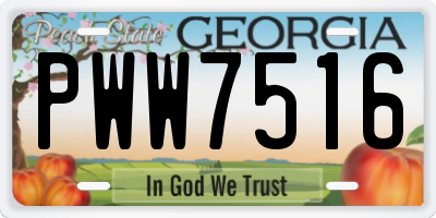 GA license plate PWW7516