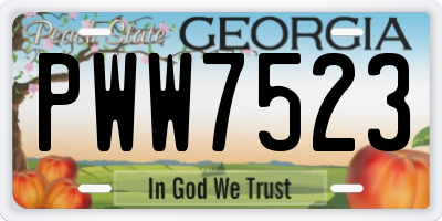 GA license plate PWW7523