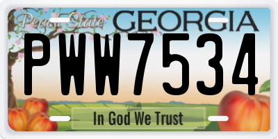 GA license plate PWW7534