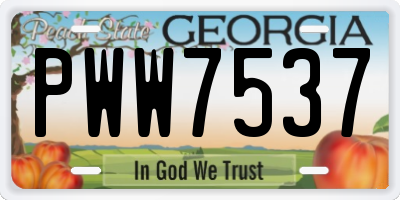 GA license plate PWW7537