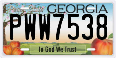 GA license plate PWW7538