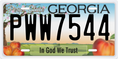 GA license plate PWW7544