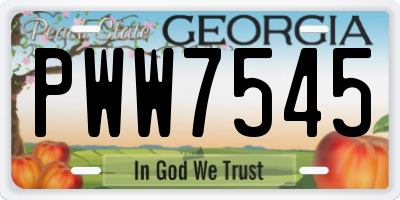 GA license plate PWW7545