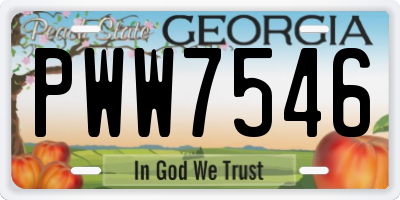 GA license plate PWW7546