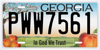 GA license plate PWW7561