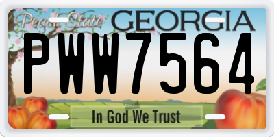 GA license plate PWW7564