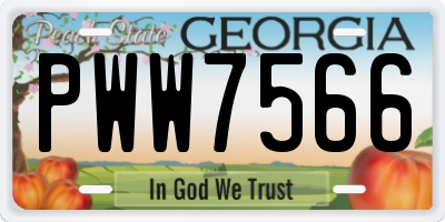 GA license plate PWW7566