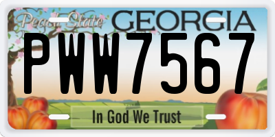 GA license plate PWW7567