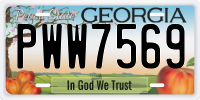 GA license plate PWW7569