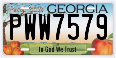 GA license plate PWW7579