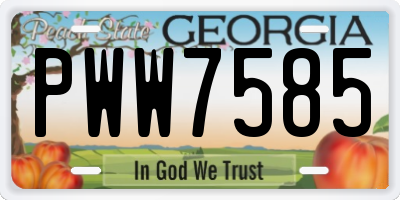 GA license plate PWW7585