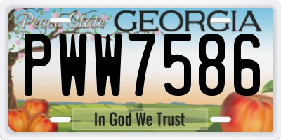 GA license plate PWW7586
