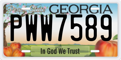 GA license plate PWW7589