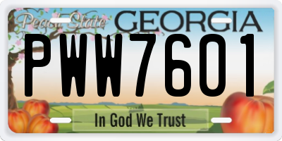 GA license plate PWW7601