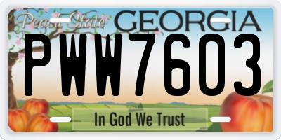 GA license plate PWW7603