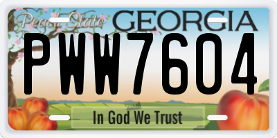 GA license plate PWW7604