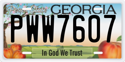GA license plate PWW7607