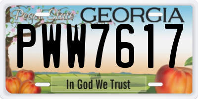 GA license plate PWW7617