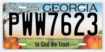 GA license plate PWW7623