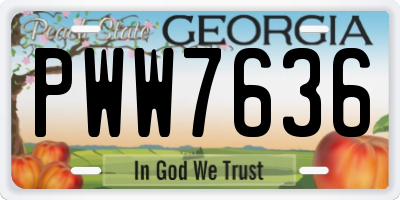 GA license plate PWW7636