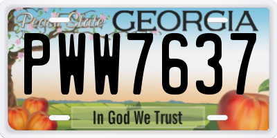 GA license plate PWW7637