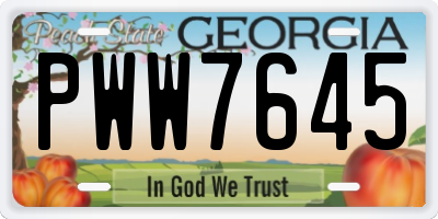 GA license plate PWW7645