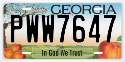 GA license plate PWW7647