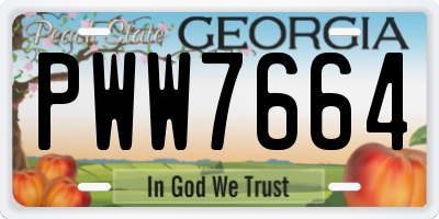GA license plate PWW7664