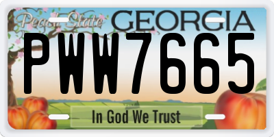 GA license plate PWW7665