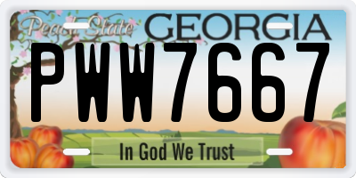 GA license plate PWW7667