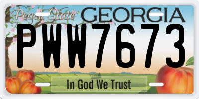 GA license plate PWW7673