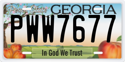 GA license plate PWW7677