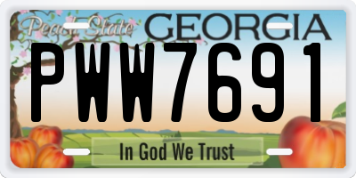 GA license plate PWW7691