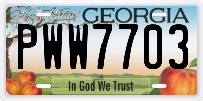 GA license plate PWW7703