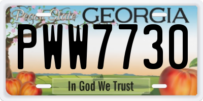 GA license plate PWW7730