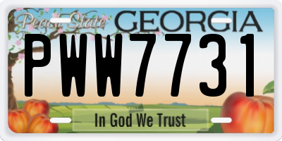 GA license plate PWW7731