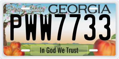 GA license plate PWW7733