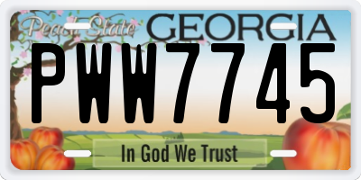 GA license plate PWW7745
