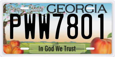 GA license plate PWW7801