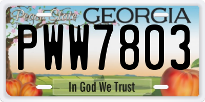 GA license plate PWW7803