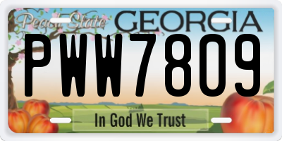 GA license plate PWW7809