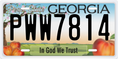 GA license plate PWW7814
