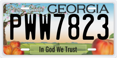 GA license plate PWW7823