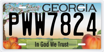 GA license plate PWW7824
