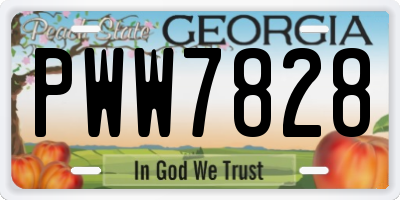 GA license plate PWW7828