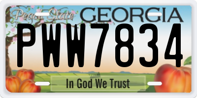 GA license plate PWW7834